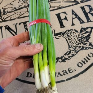 Green onions